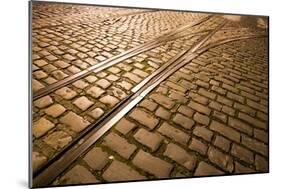 Cobbled Street at Night Dublin Ireland-Felipe Rodríguez-Mounted Photographic Print