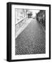 Cobbled Street, Lindenhof, Switzerland-Walter Bibikow-Framed Photographic Print