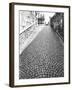 Cobbled Street, Lindenhof, Switzerland-Walter Bibikow-Framed Photographic Print