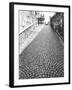 Cobbled Street, Lindenhof, Switzerland-Walter Bibikow-Framed Photographic Print