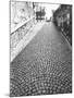 Cobbled Street, Lindenhof, Switzerland-Walter Bibikow-Mounted Photographic Print