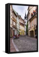 Cobbled Street, Ljubljana, Slovenia, Europe-Matthew Williams-Ellis-Framed Stretched Canvas