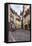 Cobbled Street, Ljubljana, Slovenia, Europe-Matthew Williams-Ellis-Framed Stretched Canvas