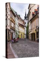 Cobbled Street, Ljubljana, Slovenia, Europe-Matthew Williams-Ellis-Stretched Canvas