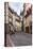 Cobbled Street, Ljubljana, Slovenia, Europe-Matthew Williams-Ellis-Stretched Canvas