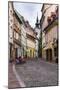 Cobbled Street, Ljubljana, Slovenia, Europe-Matthew Williams-Ellis-Mounted Photographic Print