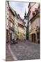 Cobbled Street, Ljubljana, Slovenia, Europe-Matthew Williams-Ellis-Mounted Photographic Print