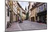 Cobbled Street, Ljubljana, Slovenia, Europe-Matthew Williams-Ellis-Mounted Photographic Print