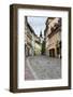 Cobbled Street, Ljubljana, Slovenia, Europe-Matthew Williams-Ellis-Framed Photographic Print