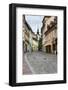 Cobbled Street, Ljubljana, Slovenia, Europe-Matthew Williams-Ellis-Framed Photographic Print