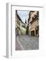Cobbled Street, Ljubljana, Slovenia, Europe-Matthew Williams-Ellis-Framed Photographic Print