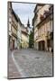 Cobbled Street, Ljubljana, Slovenia, Europe-Matthew Williams-Ellis-Mounted Photographic Print