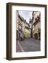 Cobbled Street, Ljubljana, Slovenia, Europe-Matthew Williams-Ellis-Framed Photographic Print