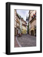 Cobbled Street, Ljubljana, Slovenia, Europe-Matthew Williams-Ellis-Framed Photographic Print