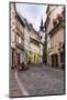 Cobbled Street, Ljubljana, Slovenia, Europe-Matthew Williams-Ellis-Mounted Photographic Print