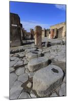 Cobbled Street Stepping Stones, Roman Ruins of Pompeii, UNESCO World Heritage Site, Campania, Italy-Eleanor Scriven-Mounted Photographic Print