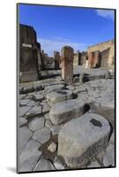 Cobbled Street Stepping Stones, Roman Ruins of Pompeii, UNESCO World Heritage Site, Campania, Italy-Eleanor Scriven-Mounted Photographic Print