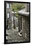 Cobbled Streets and Granite Houses in Medieval Village of Piodao in Serra Da Estrela Mountains-Alex Robinson-Framed Photographic Print