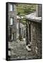 Cobbled Streets and Granite Houses in Medieval Village of Piodao in Serra Da Estrela Mountains-Alex Robinson-Framed Stretched Canvas