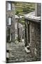 Cobbled Streets and Granite Houses in Medieval Village of Piodao in Serra Da Estrela Mountains-Alex Robinson-Mounted Photographic Print