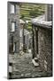 Cobbled Streets and Granite Houses in Medieval Village of Piodao in Serra Da Estrela Mountains-Alex Robinson-Mounted Photographic Print