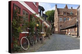 Cobblestone Alley in the Old Town, Ribe, Jutland, Denmark, Scandinavia, Europe-Stuart Black-Stretched Canvas