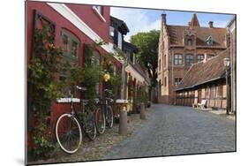 Cobblestone Alley in the Old Town, Ribe, Jutland, Denmark, Scandinavia, Europe-Stuart Black-Mounted Photographic Print