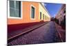 Cobblestone Reflections in Old San Juan-George Oze-Mounted Photographic Print