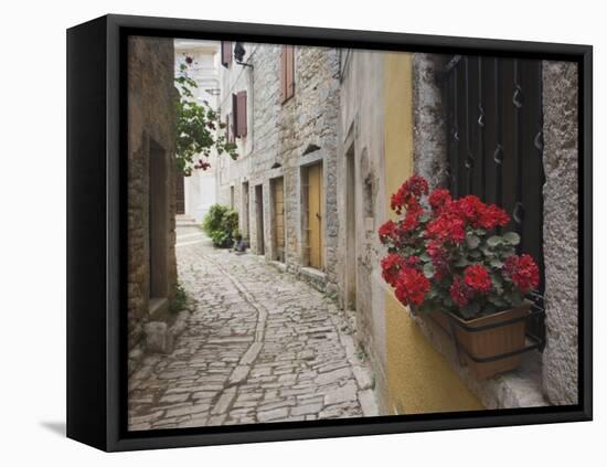 Cobblestone Street and Geraniums, Bale, Croatia-Adam Jones-Framed Stretched Canvas