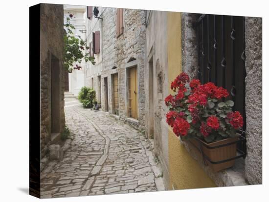 Cobblestone Street and Geraniums, Bale, Croatia-Adam Jones-Stretched Canvas