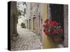 Cobblestone Street and Geraniums, Bale, Croatia-Adam Jones-Stretched Canvas