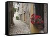 Cobblestone Street and Geraniums, Bale, Croatia-Adam Jones-Framed Stretched Canvas