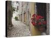 Cobblestone Street and Geraniums, Bale, Croatia-Adam Jones-Stretched Canvas