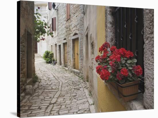 Cobblestone Street and Geraniums, Bale, Croatia-Adam Jones-Stretched Canvas