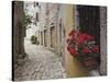 Cobblestone Street and Geraniums, Bale, Croatia-Adam Jones-Stretched Canvas