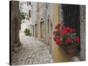 Cobblestone Street and Geraniums, Bale, Croatia-Adam Jones-Stretched Canvas