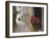 Cobblestone Street and Geraniums, Bale, Croatia-Adam Jones-Framed Photographic Print