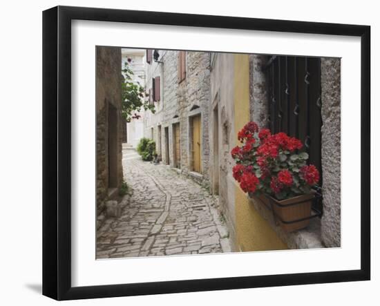 Cobblestone Street and Geraniums, Bale, Croatia-Adam Jones-Framed Photographic Print