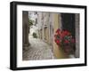 Cobblestone Street and Geraniums, Bale, Croatia-Adam Jones-Framed Photographic Print