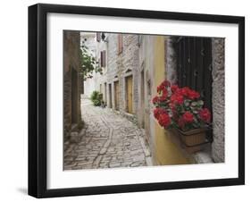 Cobblestone Street and Geraniums, Bale, Croatia-Adam Jones-Framed Photographic Print