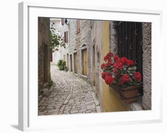 Cobblestone Street and Geraniums, Bale, Croatia-Adam Jones-Framed Photographic Print