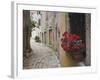 Cobblestone Street and Geraniums, Bale, Croatia-Adam Jones-Framed Photographic Print