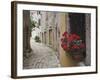 Cobblestone Street and Geraniums, Bale, Croatia-Adam Jones-Framed Photographic Print