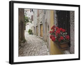 Cobblestone Street and Geraniums, Bale, Croatia-Adam Jones-Framed Photographic Print