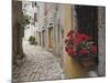 Cobblestone Street and Geraniums, Bale, Croatia-Adam Jones-Mounted Photographic Print