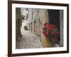 Cobblestone Street and Geraniums, Bale, Croatia-Adam Jones-Framed Photographic Print