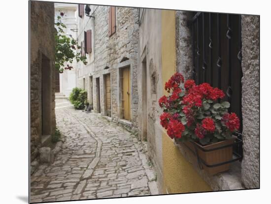 Cobblestone Street and Geraniums, Bale, Croatia-Adam Jones-Mounted Photographic Print