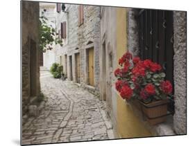 Cobblestone Street and Geraniums, Bale, Croatia-Adam Jones-Mounted Photographic Print