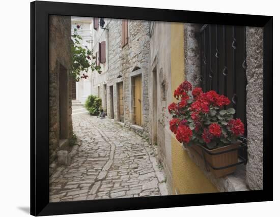 Cobblestone Street and Geraniums, Bale, Croatia-Adam Jones-Framed Photographic Print