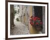 Cobblestone Street and Geraniums, Bale, Croatia-Adam Jones-Framed Photographic Print